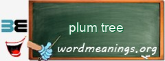WordMeaning blackboard for plum tree